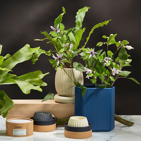 Свеча ароматическая Green tea & Pear blossom из коллекции Edge, бежевый, 30 ч, Tkano, изображение 8