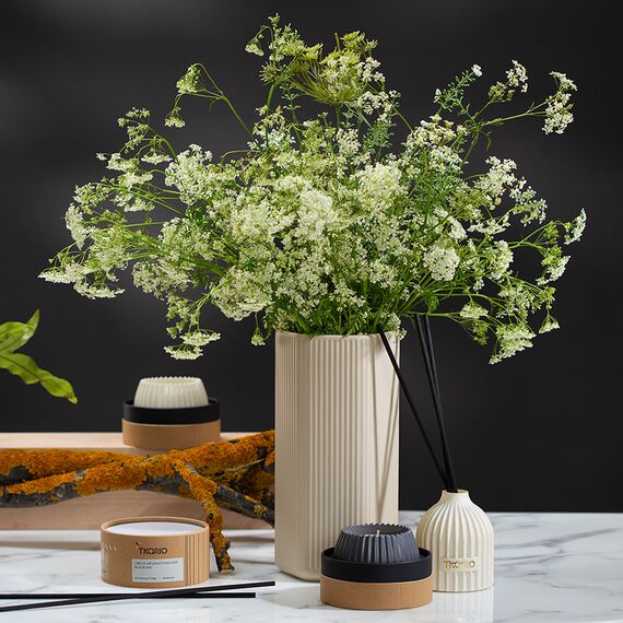Диффузор ароматический Vetiver & Black cypress из коллекции Edge, 200 мл, бежевый, Tkano, изображение 8