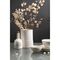 Бутылка для масла белого цвета из коллекции Kitchen Spirit, 250 мл, Tkano, изображение 5
