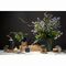 Свеча ароматическая Nutmeg, Leather & Vanilla из коллекции Edge, серый, 30 ч, Tkano, изображение 6