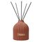 Диффузор ароматический Nutmeg, Leather & Vanilla из коллекции Edge, 200 мл, терракотовый, Tkano, изображение 3