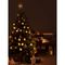 Декор новогодний Magic star из коллекции New Year Essential, Tkano, изображение 3