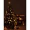 Домик из фарфора с подсветкой Aalborg из коллекции New Year Essential, 21,6 см, Tkano, изображение 5