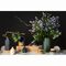 Диффузор ароматический Vetiver & Black cypress из коллекции Edge, 200 мл, бежевый, Tkano, изображение 9