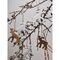 Набор елочных украшений Santa reindeers из коллекции New Year Essential, 3 шт., Tkano, изображение 4