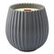 Свеча ароматическая с деревянным фитилём Italian Cypress из коллекции Edge, серый, 60 ч, Tkano, изображение 4