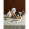 Декор из фарфора White Birdie из коллекции Essential, 16х8x13 см, Tkano, изображение 4
