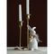 Декор пасхальный из фарфора Easter Bunny из коллекции Essential, 7,7х6,9x17 см, Tkano, изображение 8